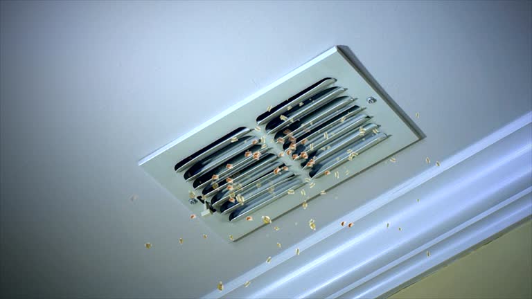 Best Ductwork Cleaning Services  in Townsend, MT